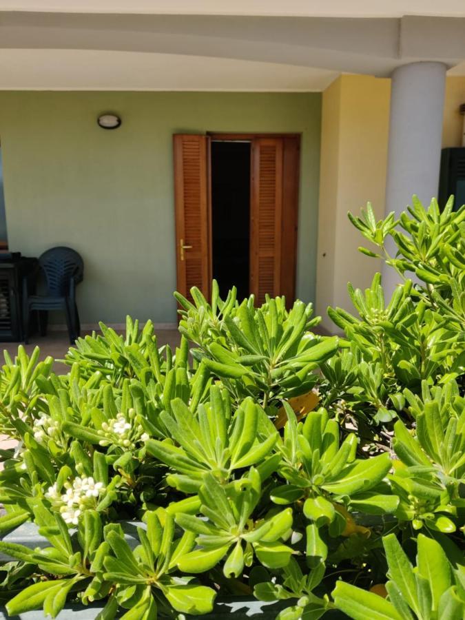 Appartamento Da Carlo 2 Alghero Bagian luar foto